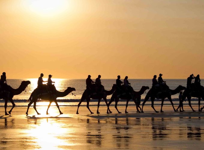 Book Things To Do, Attractions, and Tours | SevenTours