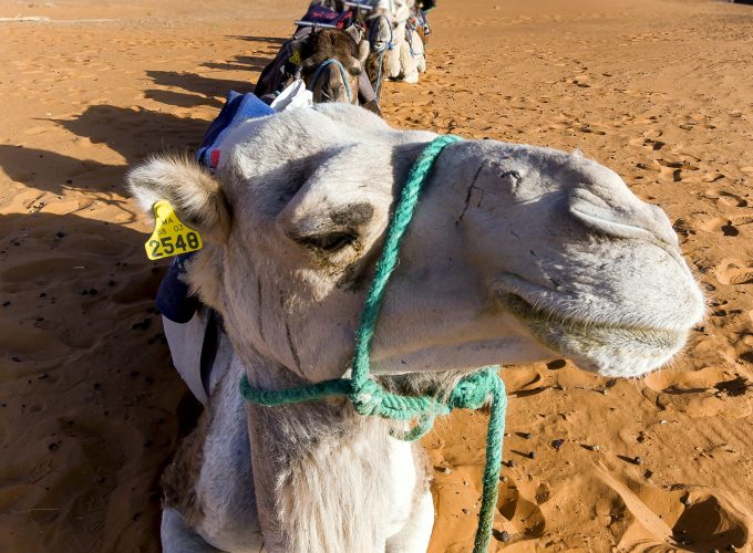 Book Things To Do, Attractions, and Tours | SevenTours