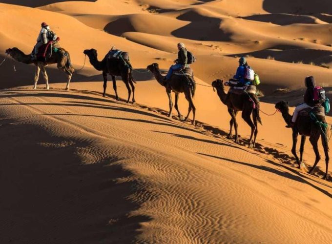 Book Things To Do, Attractions, and Tours | SevenTours