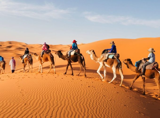 Book Things To Do, Attractions, and Tours | SevenTours
