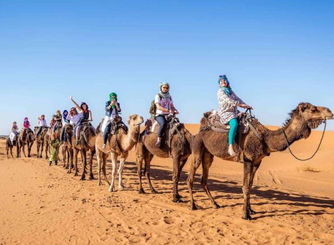 Book Things To Do, Attractions, and Tours | SevenTours