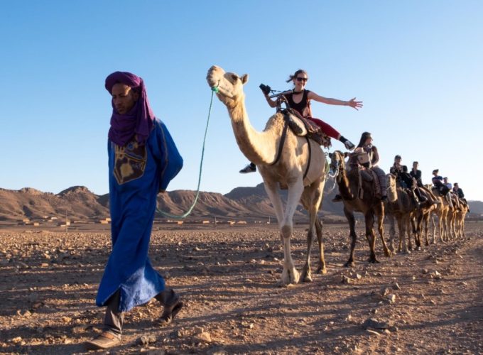 Book Things To Do, Attractions, and Tours | SevenTours