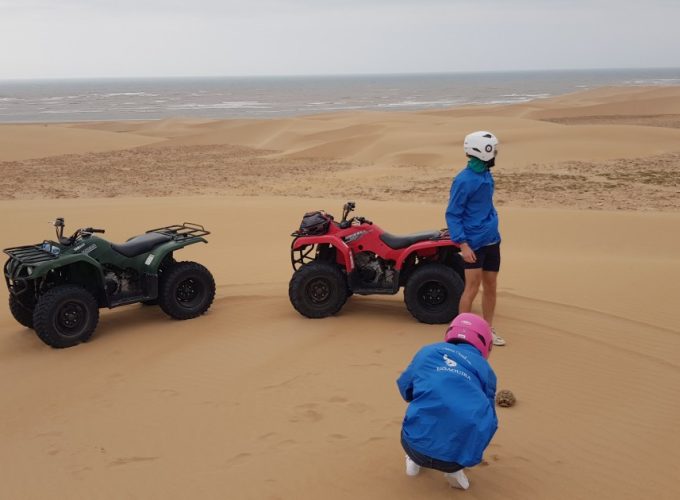 Book Things To Do, Attractions, and Tours | SevenTours