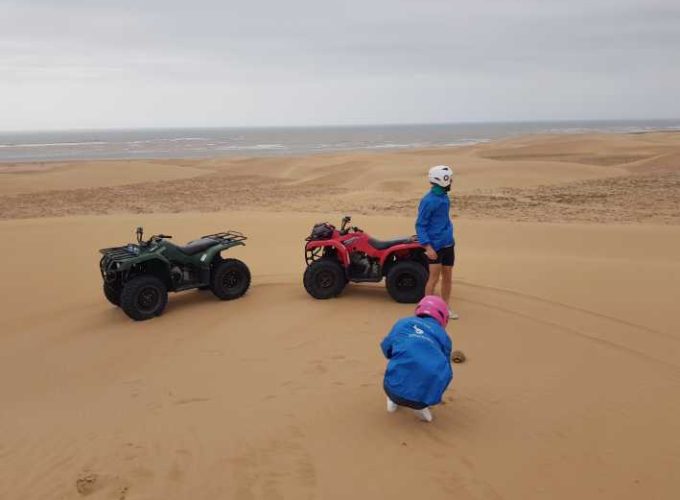 Book Things To Do, Attractions, and Tours | SevenTours