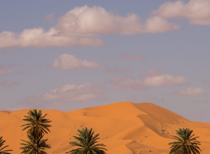 Book Things To Do, Attractions, and Tours | SevenTours