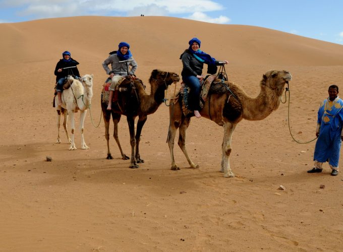 Book Things To Do, Attractions, and Tours | SevenTours