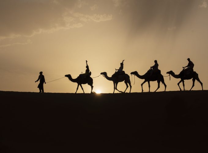 Book Things To Do, Attractions, and Tours | SevenTours