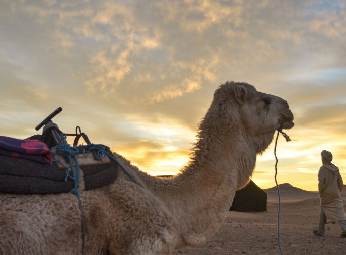 Book Things To Do, Attractions, and Tours | SevenTours