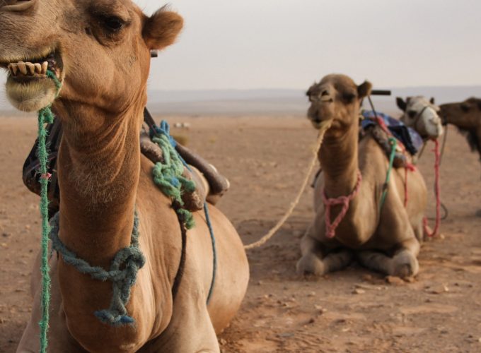 Book Things To Do, Attractions, and Tours | SevenTours