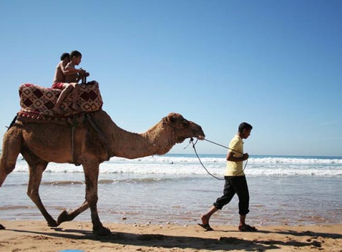 Book Things To Do, Attractions, and Tours | SevenTours
